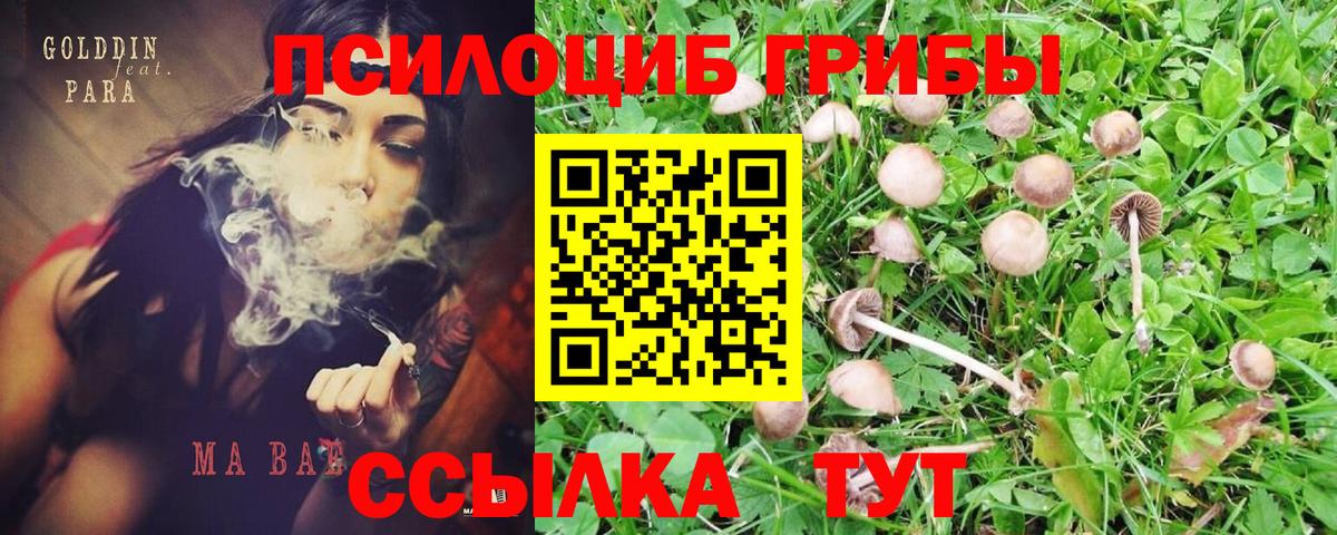 Галлюциногенные грибы ЛСД  Вход с VPN  Галлюциногенные грибы MAGIC MUSHROOMS  Нижнекамск 